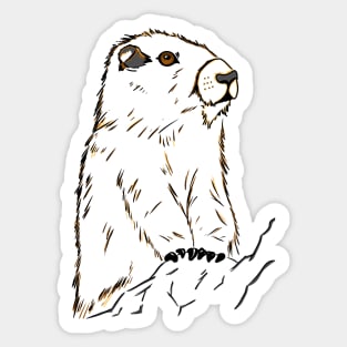 Groundhog everyday Sticker